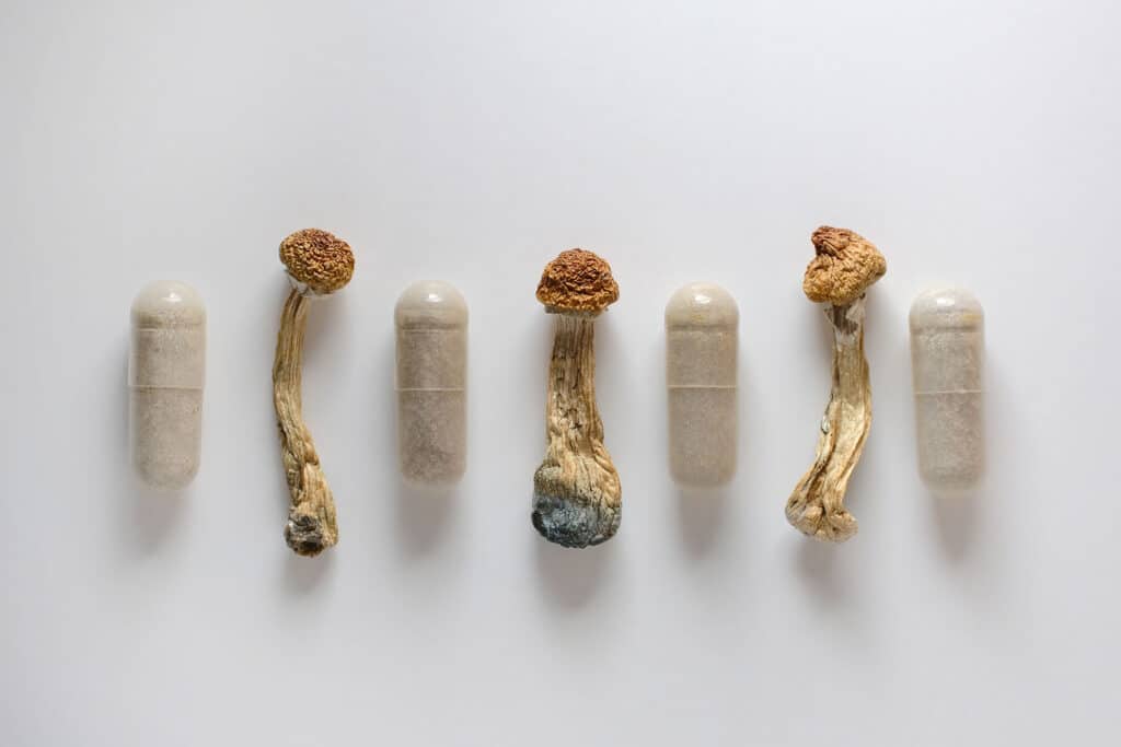 magic mushrooms