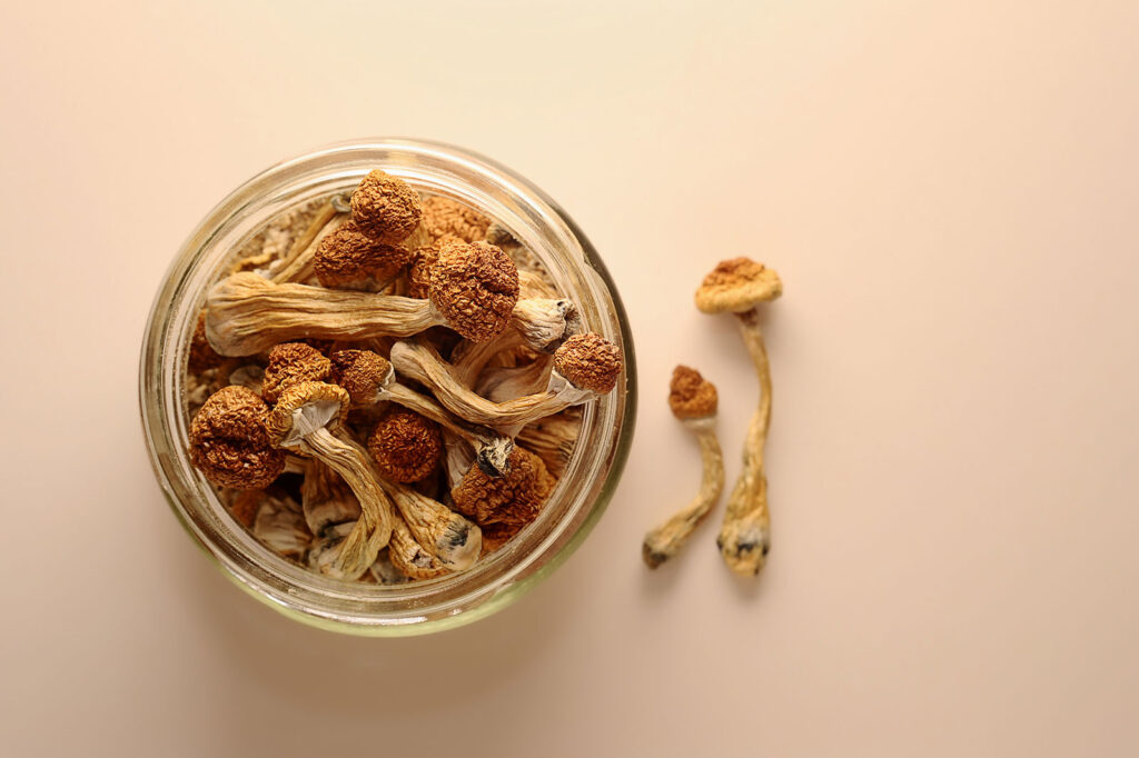 magic mushrooms